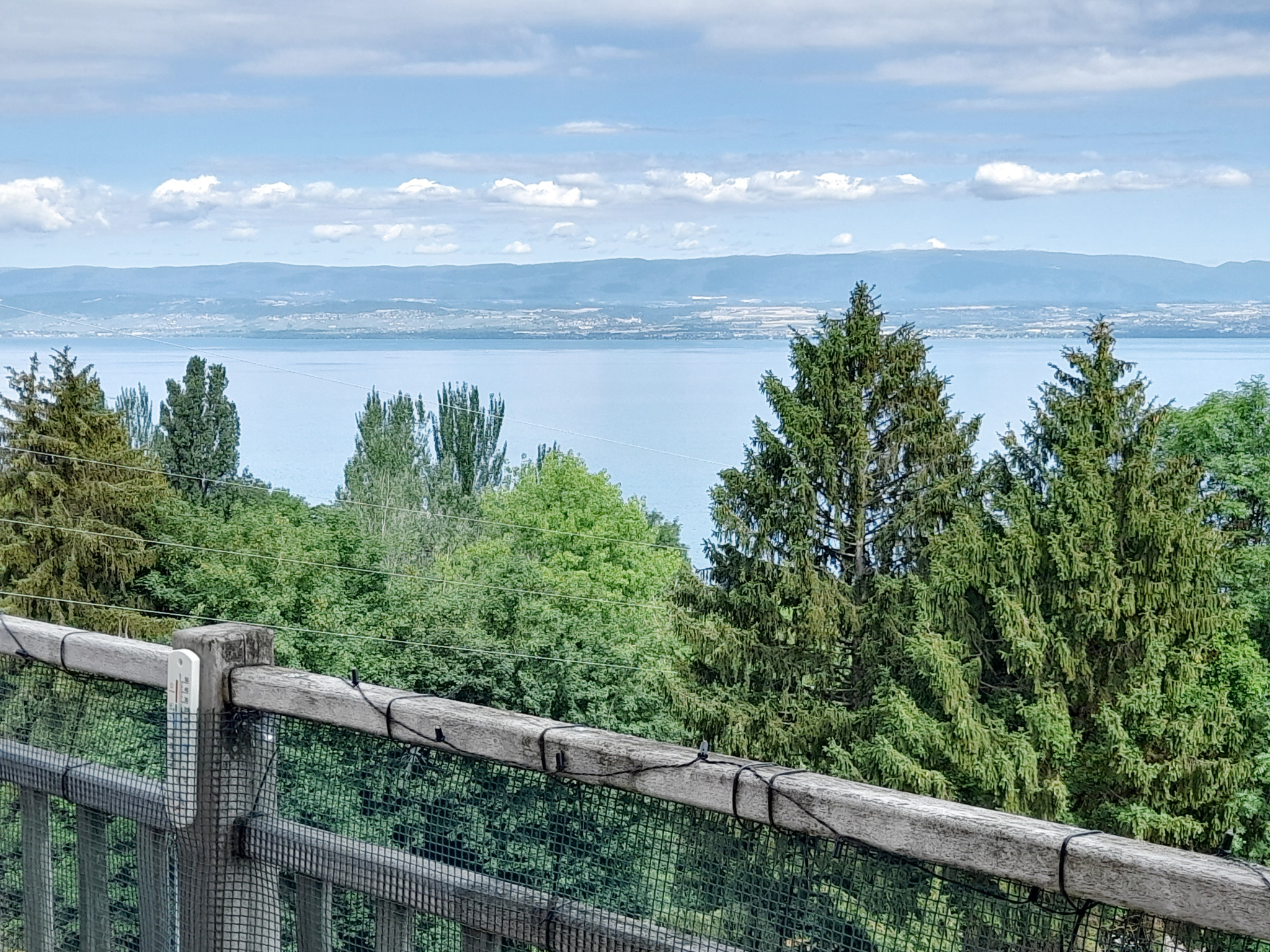 Photo bien immobilier